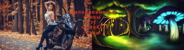 прущий лед Алзамай