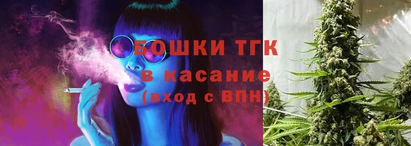 прущий лед Алзамай